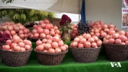 Li Helebcê Festîvala Hinaran