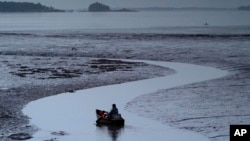 FILE - Clam digger Scott Lavers paddles his canoe on his way to work on a mudflat exposed by the receding tide, Sept. 4, 2020, in Freeport, Maine.