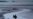 US Fishermen Face Shutdowns as Warming Hurts Species