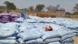Zanu PF Accused of Diverting Food Aid