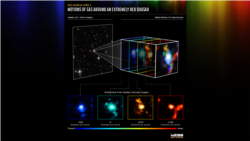 Science in a Minute: Webb Space Telescope Makes Discovery in the Early Universe