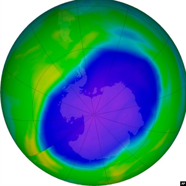 In this NASA false-color image, the blue and purple shows the hole in Earth's protective ozone layer over Antarctica on Oct. 5, 2022. (NASA via AP)