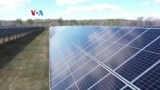 Mempertahankan Pertanian Kecil dengan Solar Farm