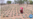 US Technology Helps Improve Crop Yields in Drought-stricken Africa