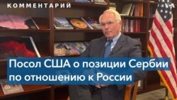 «Чем скорее Сербия перестанет зависеть от России, тем лучше для сербского народа» 