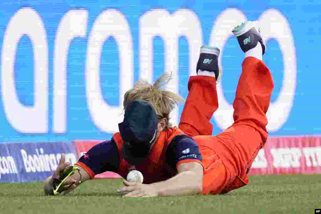 Netherlands&#39; Bas de Leede dives to field the ball during the T20 World Cup cricket match between India and the Netherlands in Sydney, Australia.