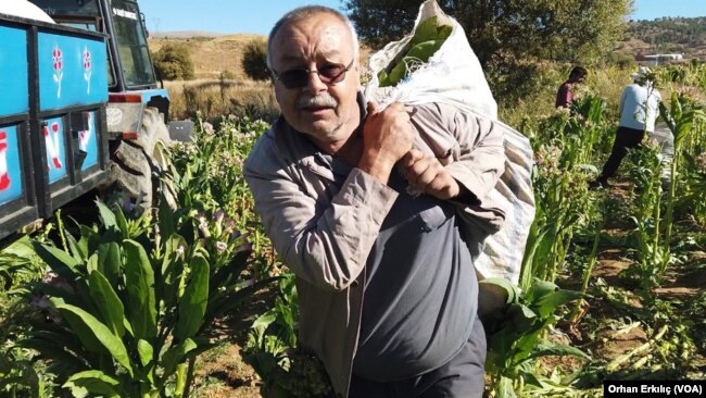 Ekim 2022 - Adıyaman