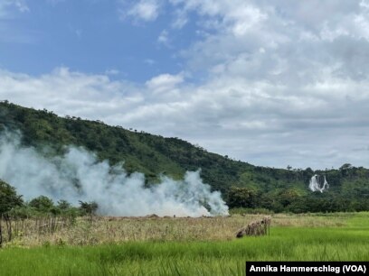 Practices such as slash and burn agriculture are destructive to the environment.