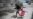 MSF Suspends Work in Haiti Hospital After Armed Gang Executes Patient