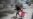 UN: Haiti Facing Humanitarian Catastrophe