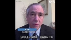 美国会议员与前官员呼吁中国开放新疆让国际观察员进入考察