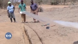 Une nouvelle technologie de rétention d'eau permet d'irriguer des zones arides