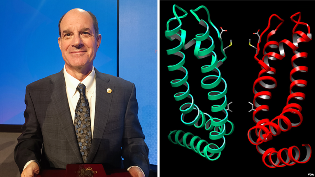 David Julius (VOA) i receptor TRPV1 (DavidJulius/UCSF)