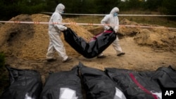 FILE - Members of a forensic team carry a plastic bag with a body inside as they work on an exhumation of a mass grave in Lyman, Ukraine, Oct. 11, 2022.