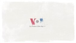 Elecciones de medio término en Estados Unidos