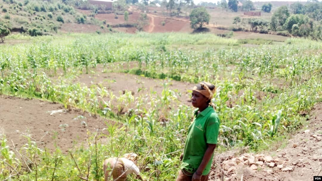 Umurimyi mu Burundi