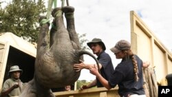 FILE - An elephant is hoisted into a transport vehicle at the Liwonde National Park southern Malawi, July 10 2022. In neighbouring Zimbabwe, National Parks is moving more than 2,500 wild animals from a southern reserve to rescue them from drought. (AP Photo/Thoko Chikondo, File)