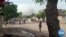 Protestors Reported Killed in Chad
