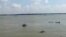 কর্ণফুলীতে জাহাজডুবি