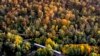 Sebuah kereta api berjalan melalui hutan di wilayah Taunus saat musim gugur dekat Wehrheim, Jerman. (Foto: AP)&nbsp;