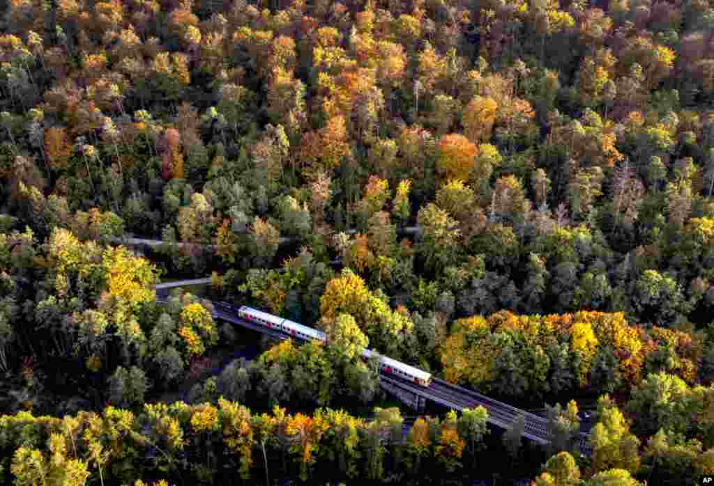 A train travels through the forests of the Taunus region near Wehrheim, Germany.