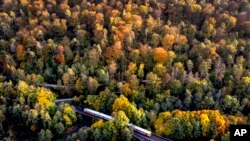 A train travels through the forests of the Taunus region near Wehrheim, Germany.