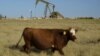 Un campo cerca de Jal, Nuevo México, con instalaciones de petróleo y de metano. Foto del 14 de octubre del 2021. (Foto AP/David Goldman)