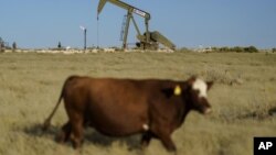 Un campo cerca de Jal, Nuevo México, con instalaciones de petróleo y de metano. Foto del 14 de octubre del 2021. (Foto AP/David Goldman)