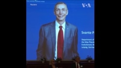 瑞典科学家帕博获得2022年诺贝尔医学奖