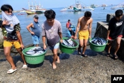 FILE - Crew unload buckets of fish from the "mother" fishing boat shortly after arriving in the village of Cato in Infanta town, Pangasinan province, on August 20, 2022, after a fishing expedition to the South China Sea.