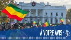  À Votre Avis : les liens entre l'Afrique et sa diaspora 