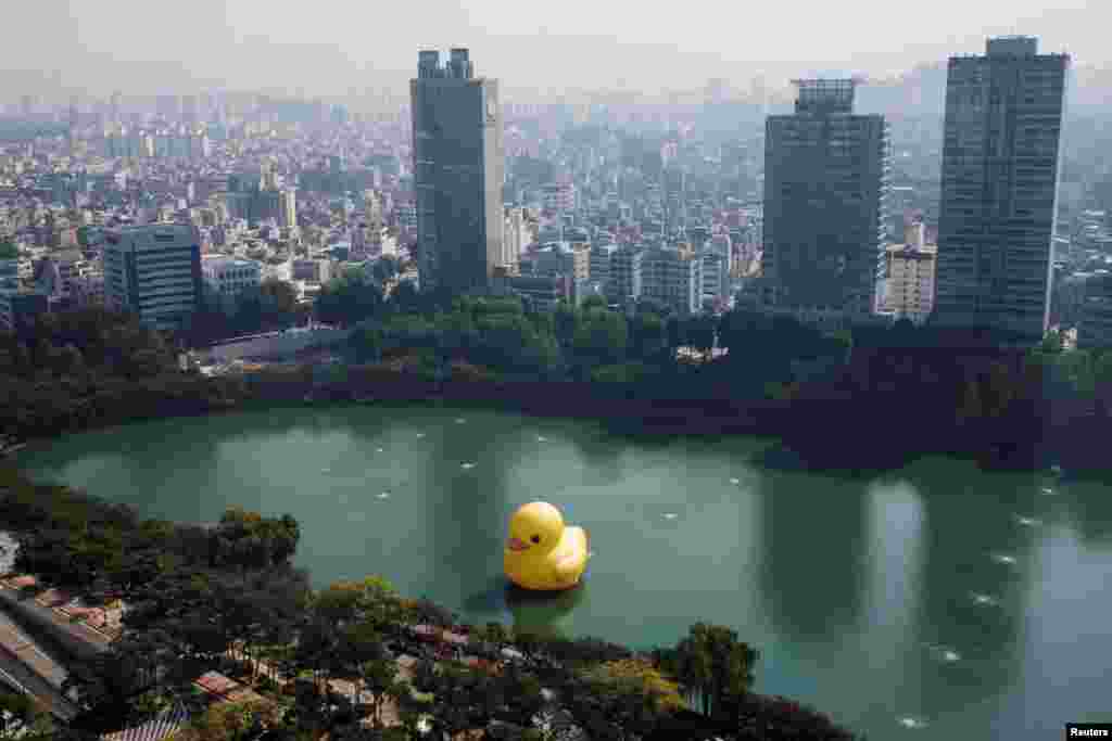 A giant inflatable Rubber Duck put in place by Dutch artist Florentijn Hoffman floats on Seokchon Lake in Seoul, South Korea.