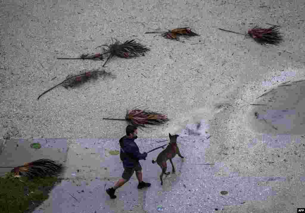 A man walks a dog ahead of Hurricane Ian in Punta Gorda, Florida, Sept. 28, 2022.