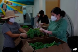 From left, Polly Sang, Patty Apple and Jen Franco, sort and clean vegetables for donation at Food Shift, a nonprofit organization that collects unwanted groceries and distributes them to the needy, Sept. 13, 2022, in Alameda, Calif.