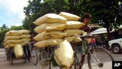미얀마 수도 네피도 시민들이 비료를 운반하고 있다. (자료사진)