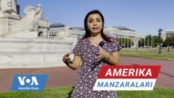 Amerika Manzaralari: Immigratsiya, media va demografiya