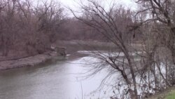 Stopping the Movement of an Invasive Species