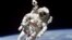 NASA宇航員提供如何適應「居家令」要訣