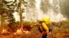 Trump, Biden Differ on Approach to Western Wildfires
