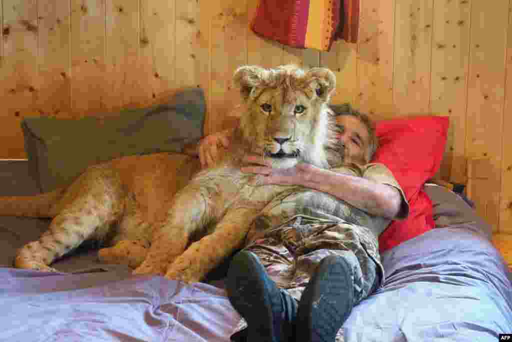 صاحب یک باغ وحش خصوصی کوچک در فرانسه همراه با شیر ۹ ساله &nbsp;