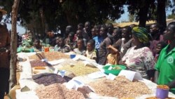 Vias de acesso podem comprometer comercialização agricola em Muembe