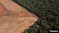 Foto udara menunjukkan kawasan hutan Amazon terus mengalami ancaman penebangan hutan (deforestasi), di Nova Xavantina, provinsi Mato Grosso, Brazil (foto: dok). 