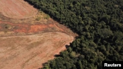 FILE - Some experts say deforestation in the Amazon is reaching a tipping point. This sky view shows deforestation near a forest on the border between Amazonia and Cerrado in Nova Xavantina, Mato Grosso state, Brazil on July 28, 2021. (REUTERS/Amanda Perobelli)