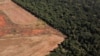 Deforestasi Hutan Amazon Naik 14% pada Maret        