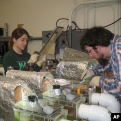 University of Michigan graduate students monitor a water quality experiment.
