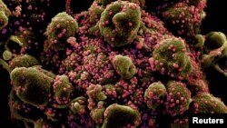 ክፍል ሁለት - አገርም እንደ ሰው