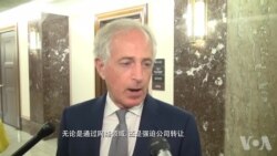 美参院领袖:制止中国窃取知识产权为目标