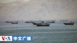 美国之音中文广播 (2026年5月29日)