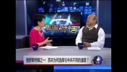 VOA卫视(2014年1月3日 第二小时节目)