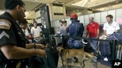 El oficial Martínez revisa maletas junto a su perro detector de bombas Marco en el Aeropuerto Internacional Tom Braadley, de Los Ángeles. Un hombre fue arrestado este miércoles cuando llevaba un chaleco antibalas y una maleta llena con armamento.